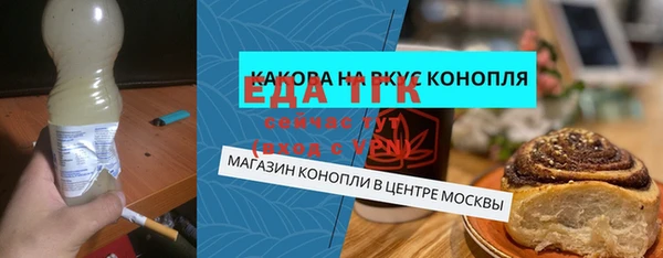 индика Осташков