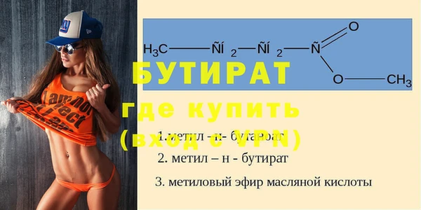 индика Осташков