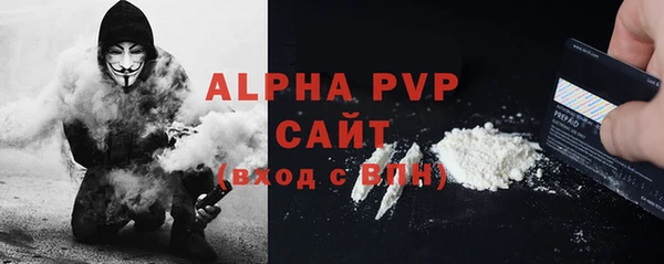индика Осташков