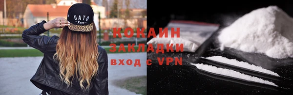 индика Осташков