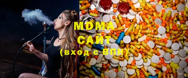 индика Осташков