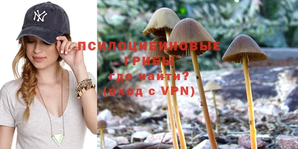mdpv Остров