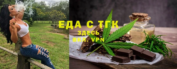 индика Осташков