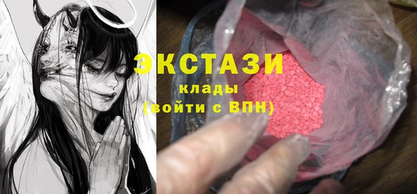 индика Осташков