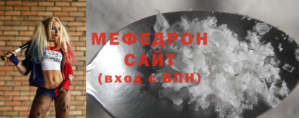 индика Осташков